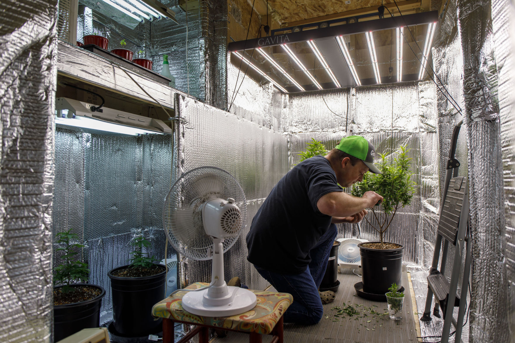 US-NEWS-FRUSTRATED-WITH-SHORTAGES-MEDICAL-MARIJUANA-7-TB.jpg